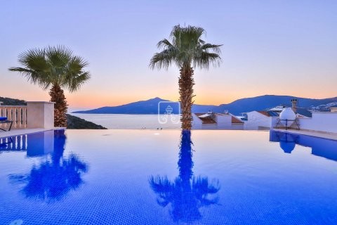 Villa Palmiye